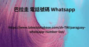 巴拉圭 電話號碼 Whatsapp