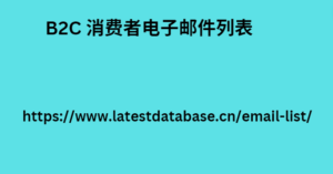 B2C 消费者电子邮件列表