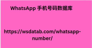 WhatsApp 手机号码数据库