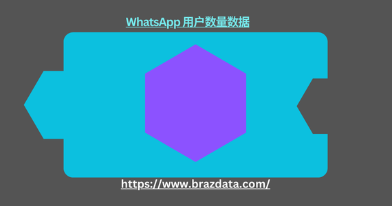 WhatsApp 用户数量数据