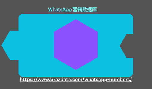 WhatsApp 营销数据库