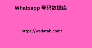 Whatsapp 号码数据库