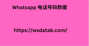 Whatsapp 电话号码数据