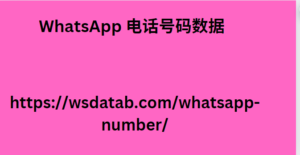 WhatsApp 电话号码数据