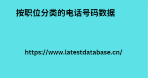 按职位分类的电话号码数据