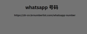 WhatsApp 号码