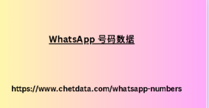 WhatsApp 号码数据