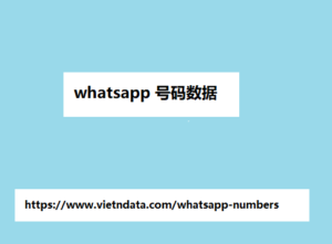 whatsapp 号码数据