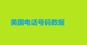 美国电话号码数据